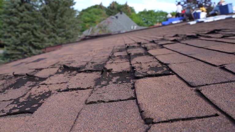 Best Wood Shake Roofing  in Mante, CA
